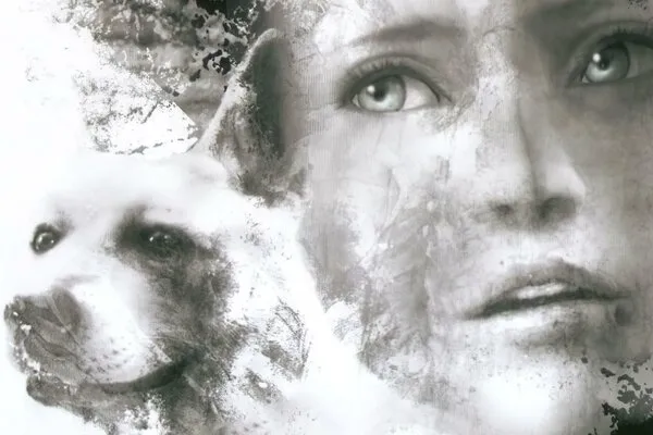 Haunting Ground