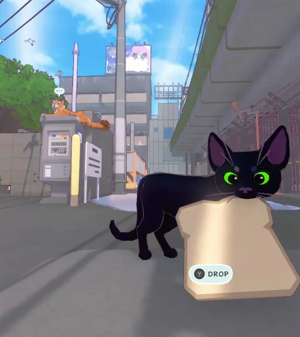 Navigating the City Streets