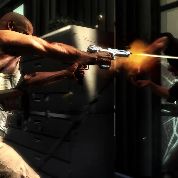 Max Payne: The Protagonist