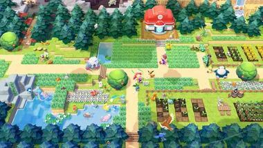 Forest Biome Resources