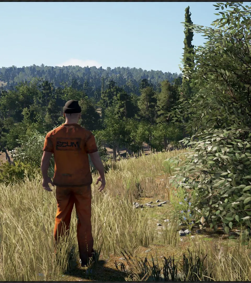 Side Quests & Activities